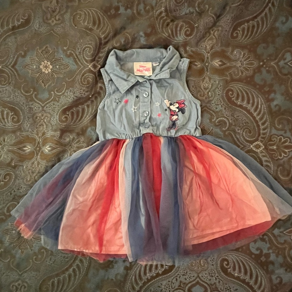Disney Minnie Mouse Tulle Dress